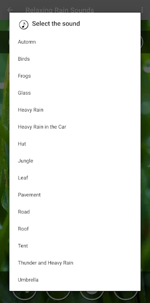 Relaxing Music & Soft Rain Screenshot 1