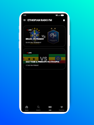 Ethiopia Radio FM Screenshot 3