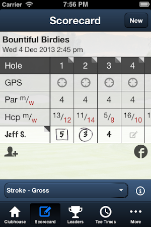 Bountiful Birdies Screenshot 2