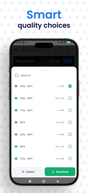Ace Video Downloader Screenshot 1