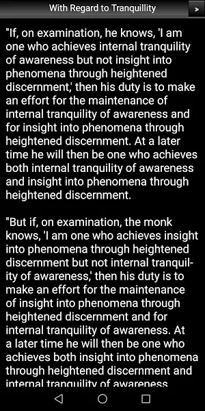 With Regard to Tranquillity Screenshot 2