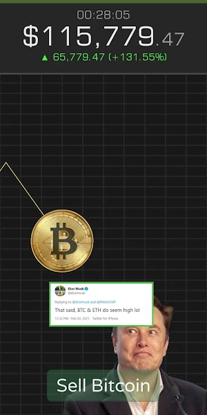 Bitcoin Crash Screenshot 3