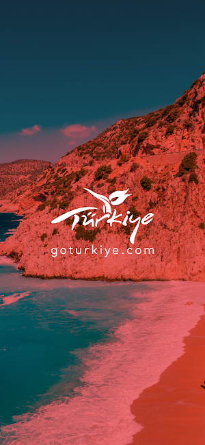 GoTürkiye Screenshot 0