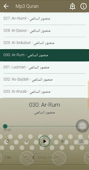Mansour Al Salmi Offline Quran Screenshot 2