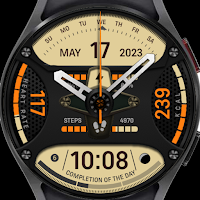 Newer T-Rex 2 Watchface