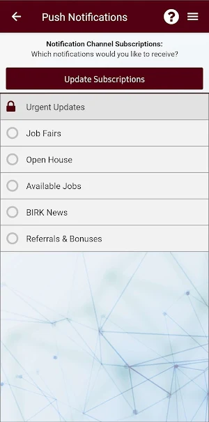 BIRK Staffing Screenshot 1