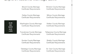 US Marriage Law - Legal Guide Screenshot 1