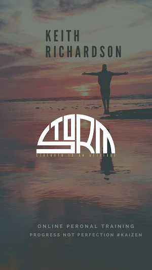 Storm Logo screenshot 1