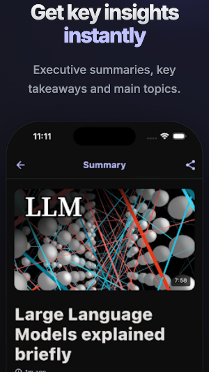 InsightVideo: AI Summary Screenshot 3