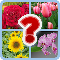 Guess the Flower Quiz