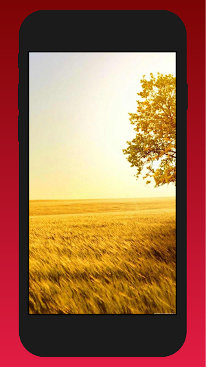view in the yellow wallpaper Screenshot 3