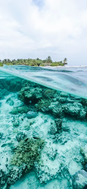 Sea  Wallpaper Screenshot 1