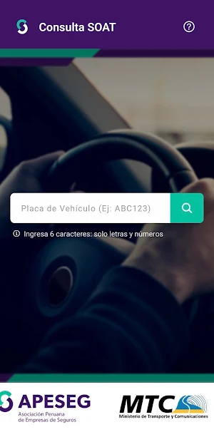 Consulta SOAT Screenshot 0