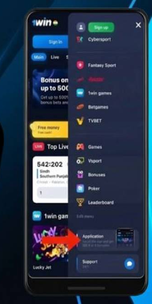 1win Screenshot 2