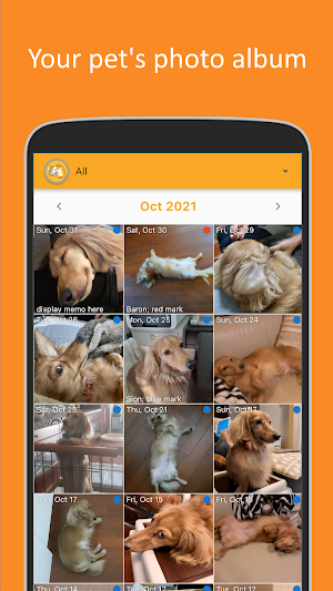 Pet care diary - daily pet log Screenshot 3