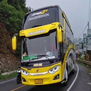 Wallpaper Bus Keren Screenshot 0