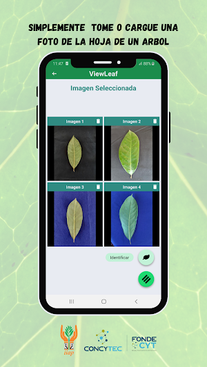 ViewLeaf Screenshot 1