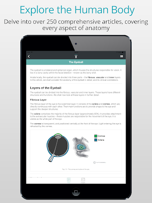 Teach Me Anatomy screenshot 5