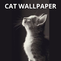 Cat Wallpapers