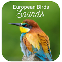 European Bird Sounds