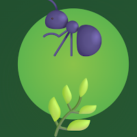 Weevil Master: Mint Snout Quiz