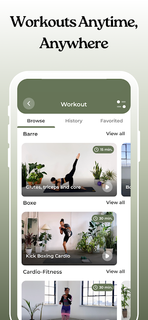 KoalaPro Screenshot 2