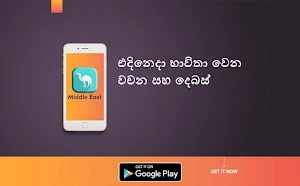 මැද පෙරදිග හුරුව (Middle East Guide Sinhala) Screenshot 3