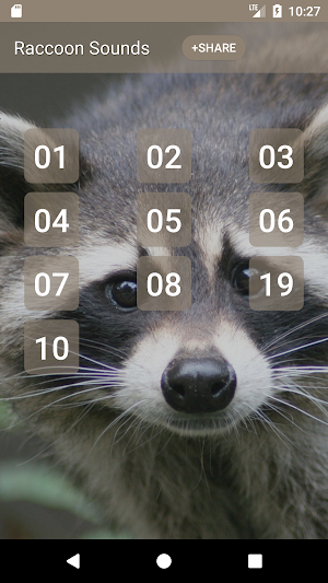 Raccoon Sounds Screenshot 0