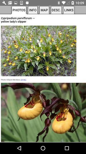 Tennessee Wildflowers Screenshot 3