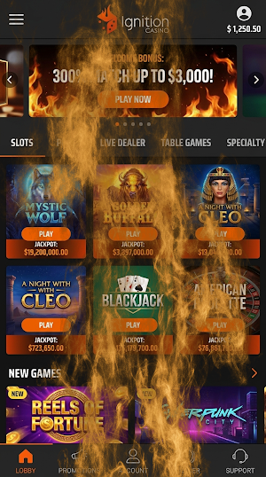 Ignition Casino Screenshot 2