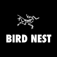 Bird Nest