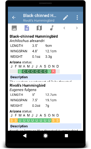 Sibley Guide to Hummingbirds Screenshot 3
