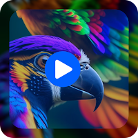 Video Live Wallpaper
