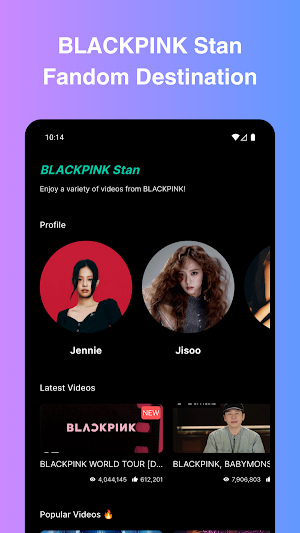 BLACKPINK Stan (K-POP Fandom) Screenshot 0