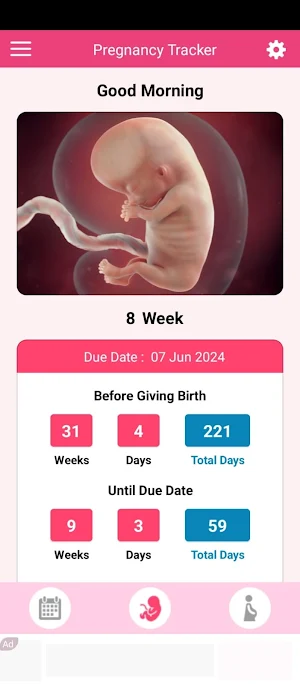Pregnancy Due Date Tracker Screenshot 0