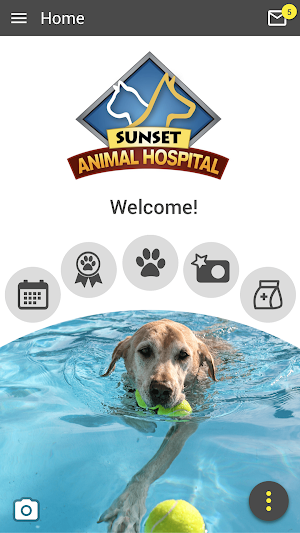 Sunset Animal Hospital Screenshot 0