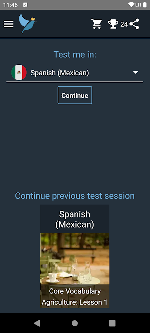 Mexican Spanish Language Tests Screenshot 0
