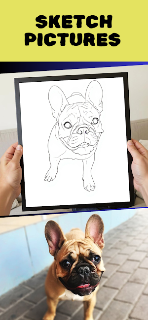 Colorify: Coloring Book Maker Screenshot 1