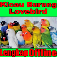 Lovebird Chirping Offline