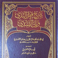 شرح قطر الندى وبل الصدى
