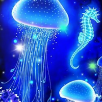 Cool Jellyfishes 3D Wallpapers