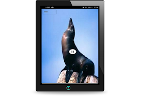 Seal Sound Screenshot 3