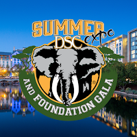 2025 DSC Summer Expo & Gala