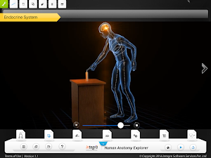 HumanAnatomy-Endocrine System Screenshot 3