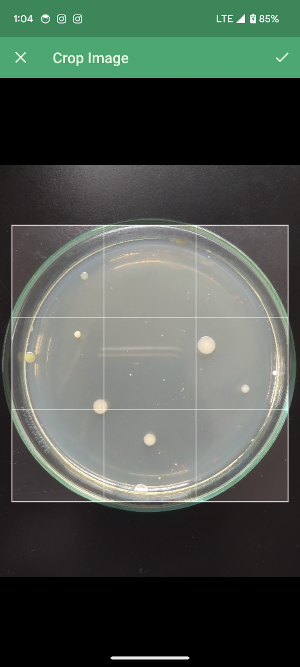 Colony Counter: Bacteria Screenshot 3
