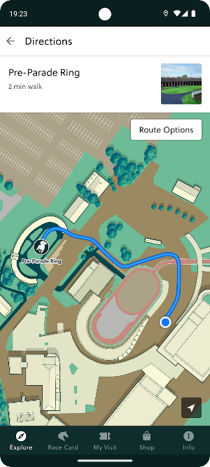 Cheltenham Racecourse Screenshot 2