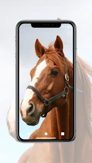 Horse Wallpaper HD Screenshot 1