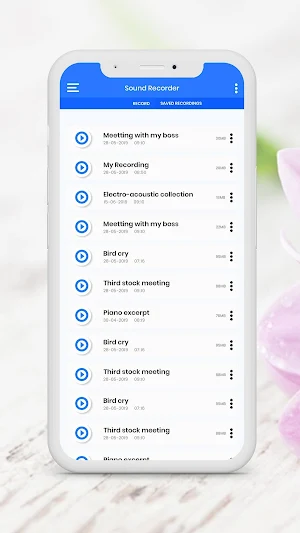 Audio Recoder Screenshot 3