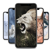 Animal Wallpapers HD 4K