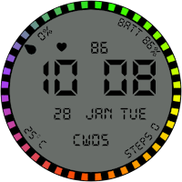 Digital Rainbow